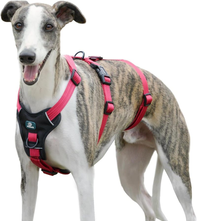 Paworld safety harness dog, anti-pull dog harness, panic harness for dogs, escape-proof harness dog, adjustable, breathable vest for small, medium and large dogs (pink red, M) medium (pack of 1) pink red - BeesActive Australia
