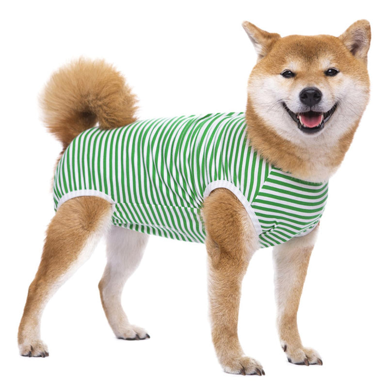 DKDDSSS Dog bodysuit after surgery - castration wound protection suits for dogs - bodysuit for dogs after surgery - breathable dog one-piece recovery suit for male dogs - practical and comfortable - 4XL - BeesActive Australia