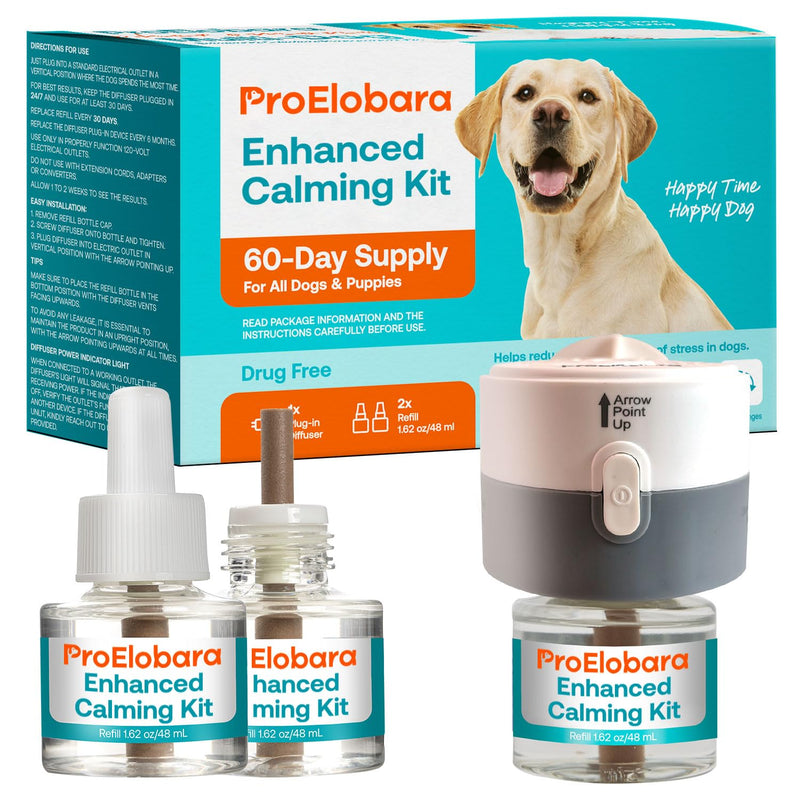 Calming atomizer for dog stress: Pheromone atomizer for dogs against anxiety - Comfort Dog Calm Pheromone Starter for home - lasts for 60 days BlueB - BeesActive Australia