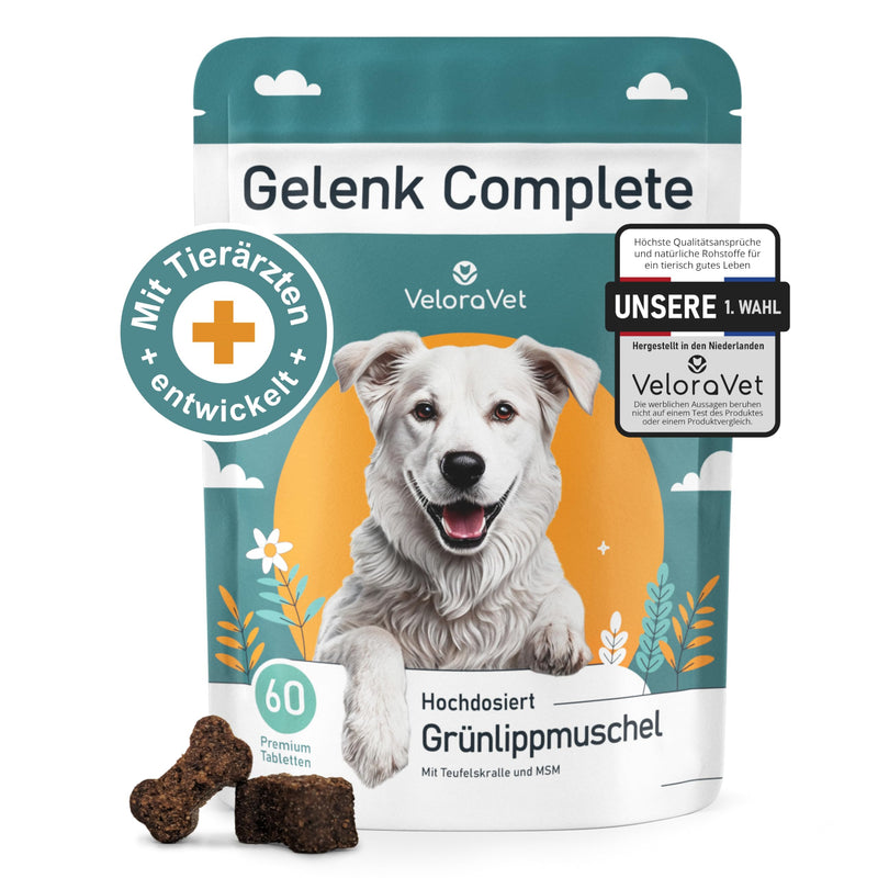VeloraVet joint tablets dog - green-lipped mussel dog - HIGH DOSE & soft with MSM & glucosamine for mobile joints - higher acceptance than green-lipped mussel capsules, green-lipped mussel powder - 60 pieces - BeesActive Australia