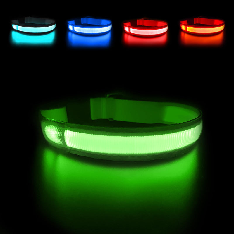 MASBRILL Luminous Dog Collar, Luminous Rechargeable USB-C Dog Collar, LED Collar for Dogs, Adjustable Waterproof, Luminous Dog Collar, 3 Light Modes for Small, Medium, Large Dogs (Green M) Green - BeesActive Australia