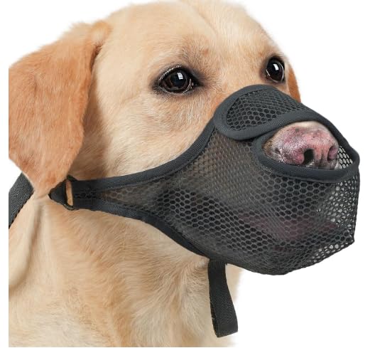 SHUOHONG Dog Muzzle, Nylon Mesh, Breathable and Comfortable, Muzzle for Large Dogs with Adjustable Straps, Muzzle for Medium Dogs, Muzzle for Small Dogs, Muzzles for Dogs (Black-L) Black-L - BeesActive Australia