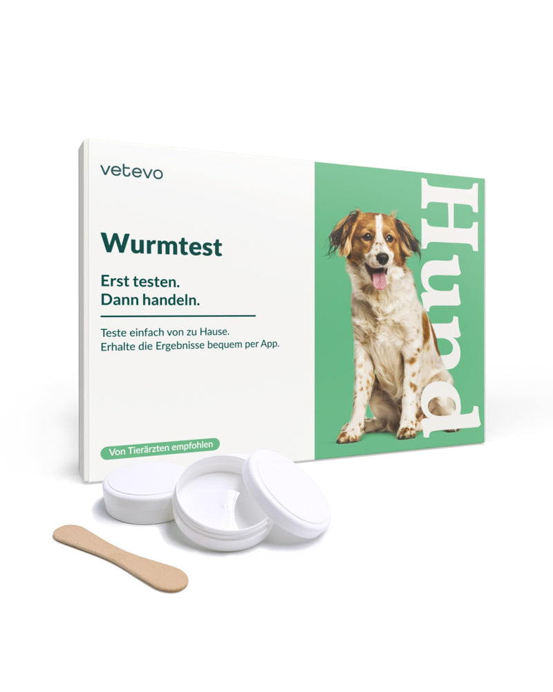 vetevo lungworm test for dogs, reliable PCR test for lungworms, precise worm test for dogs for coughs, fatigue and nasal discharge, results in 24 hours - BeesActive Australia