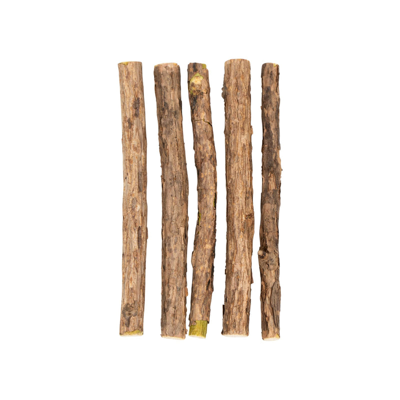 PETLIMA® | 5 x Matatabi Sticks - Natural dental care for cats, reduces plaque and tartar, cat toy with essential oils, airtight packaging for long-lasting freshness - BeesActive Australia