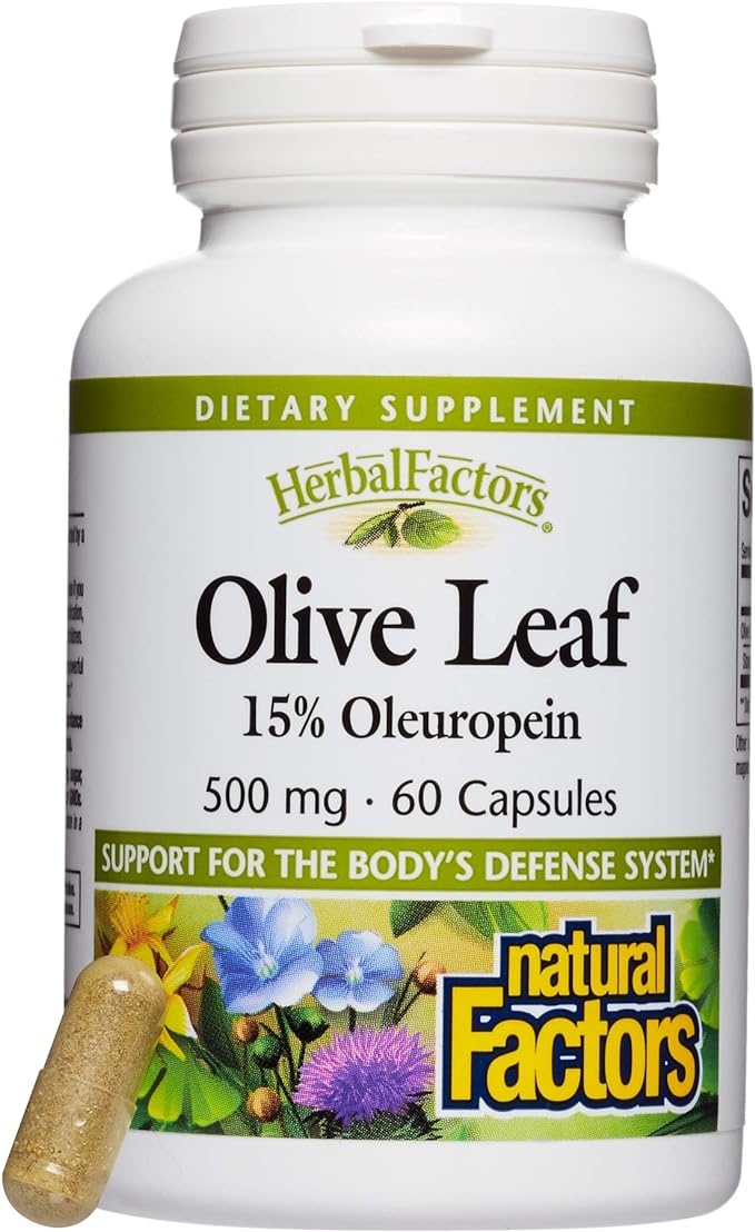 Natural Factors Olive Leaf Extract, 60 Caps 500 mg - BeesActive Australia