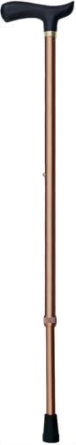 RQ Series Expandable Cane - BeesActive Australia