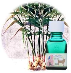HJ combination tincture for Pets (Zingiber Pet 10) - BeesActive Australia