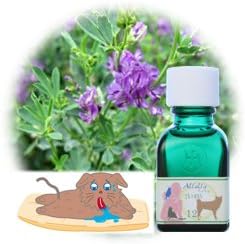 HJ combination tincture for Pets (Alfalfa Pet 12) - BeesActive Australia