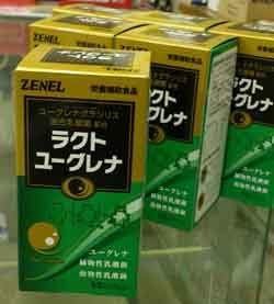 Lacto Euglena 50cp - BeesActive Australia