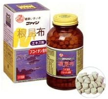 Root Kelp Extract, 500 Tablets (Approx. 50 Day Supply) - BeesActive Australia