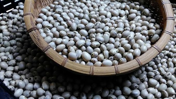 Mitchi Orange Fields: Mukuna Bean / Ehime Produced in Ainan Town (1.8 oz (50 g) - BeesActive Australia