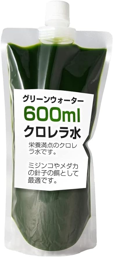 Green Water Chlorella Water, 20.3 fl oz (600 ml), Concentrated Raw Chlorella, Great Bait for Daphnia and Parameca B - BeesActive Australia