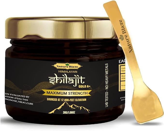 Nature Blaze Himalayan Shilajit Resin (30 Gm / 1.0 Oz) - BeesActive Australia
