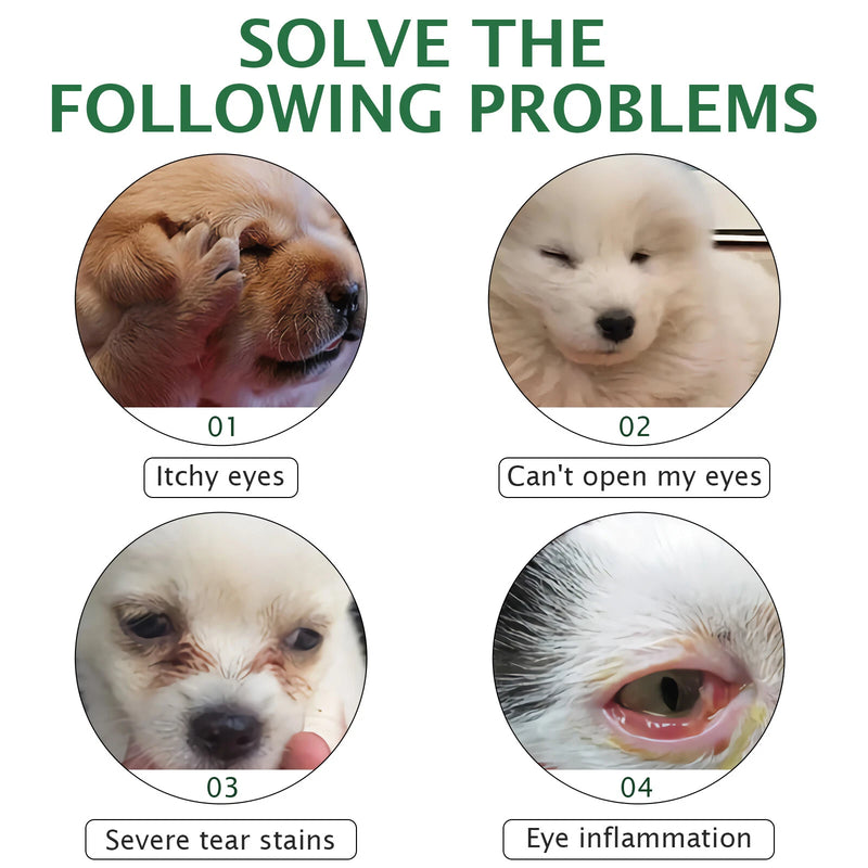 Dog Еyе Drops Remover, Improve Vision Clarity, Improve Eye Vision and Cataracts - BeesActive Australia