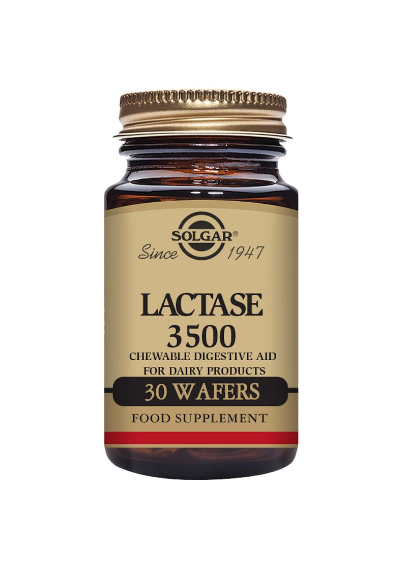 Solgar Lactase 3500 Wafers - Pack of 30 - Aids Dairy Digestion - Helps Break Down Sugar in Milk - Vegan and Kosher - BeesActive Australia