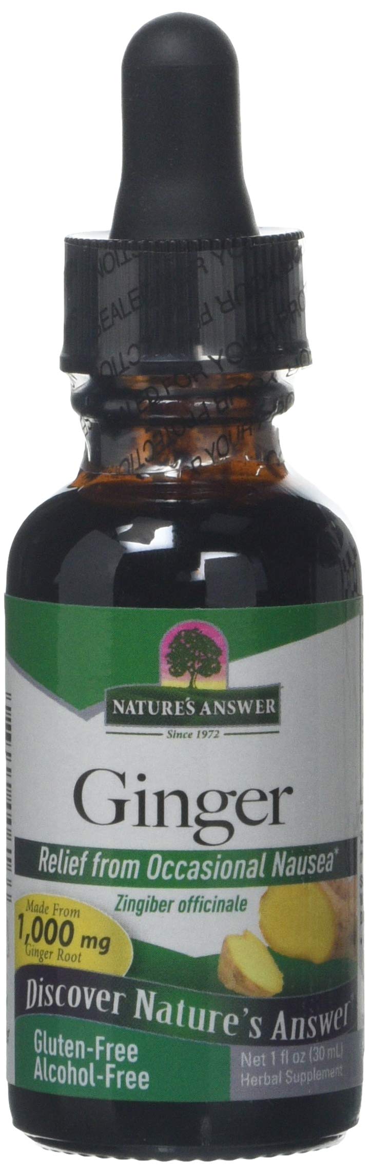 Nature's Answer - Ginger Root - 30ml - Natural Herbal Extract - Supports Digestive Health - for Soothing Upset Stomach & Nausea - BeesActive Australia