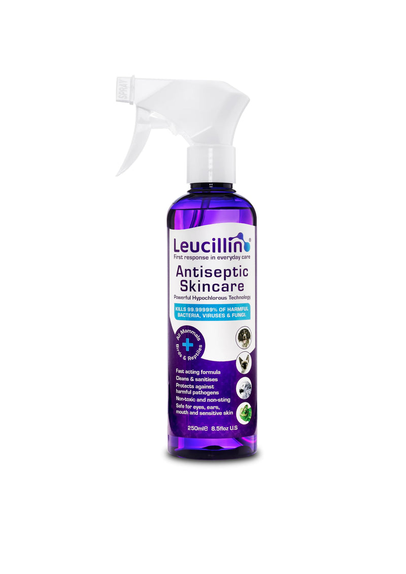 Leucillin Natural Antiseptic Spray - Antibacterial Antifungal Antiviral for Dogs Cats All Animals Itchy Skin Minor Wound Care and Skin Health | 250ml 250 ml (Pack of 1)