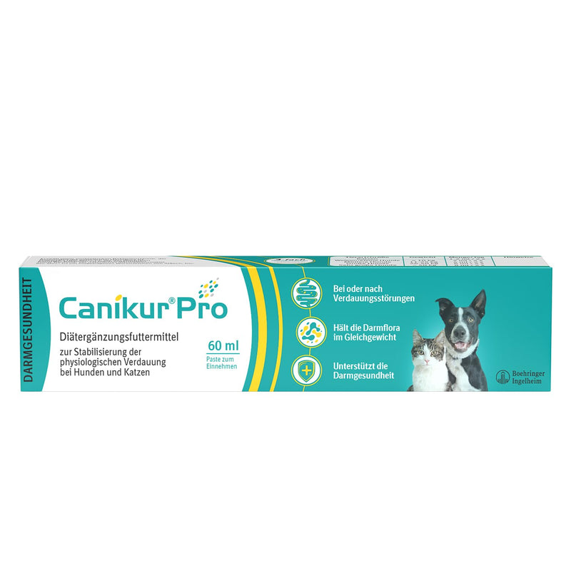 Canikur Pro Paste Syringe - 60ml, clear