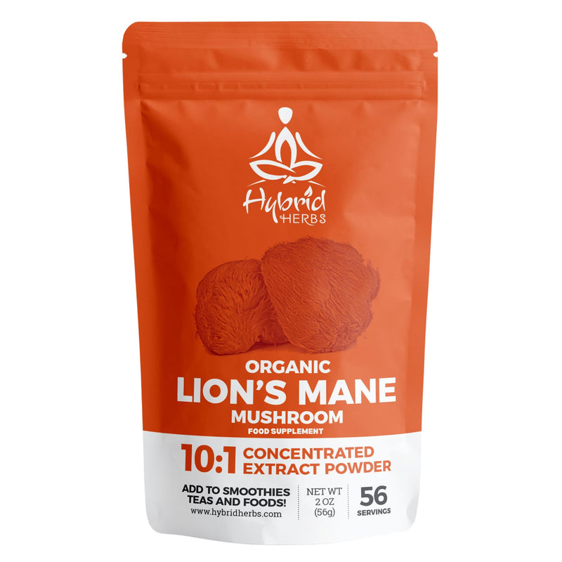 HYBRID HERBS � ORGANIC LIONS MANE MUSHROOM | 10:1 Extract Powder Lion�s Mane | Natural Nootropic Supplement for Focus, Concentration, Cognitive Brain Boost | Hericium Erinaceus | 56 Servings (56g) - BeesActive Australia