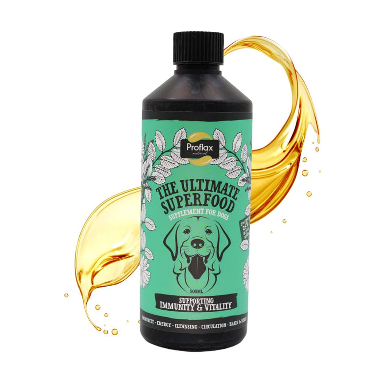 Proflax Immunity & Vitality Immune Support for Dogs – Energy, Recovery & Daily Wellbeing - 500ml 500 ml