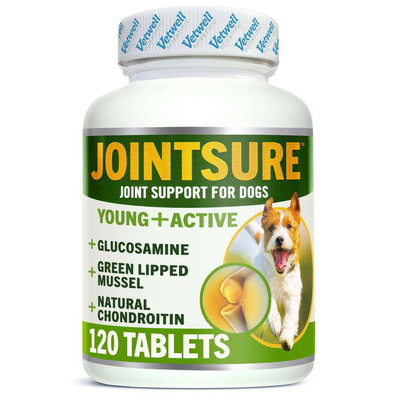 JOINTSURE YOUNG & ACTIVE Dog Joint Supplements for Dogs and Puppies - Pack of 120 Tablets - Supports Mobility and Prevents Joint Stiffness - High Glucosamine for Dogs. Dog Supplements