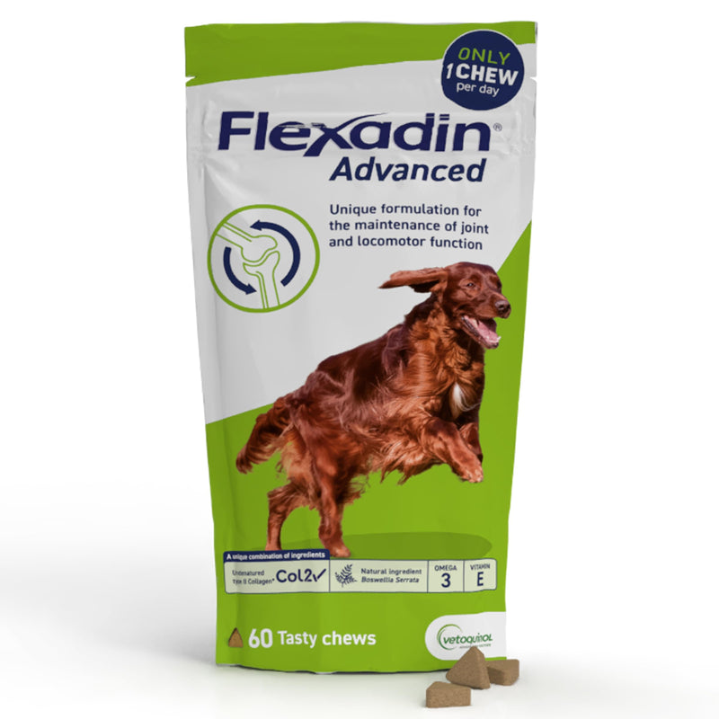 Flexadin Advanced Joint Care Supplement for Dogs containing Undenatured Type II Collagen, Boswellia serrata, Omega 3 & Vitamin E/Promotes joint health, mobility & flexibility | 60 chews