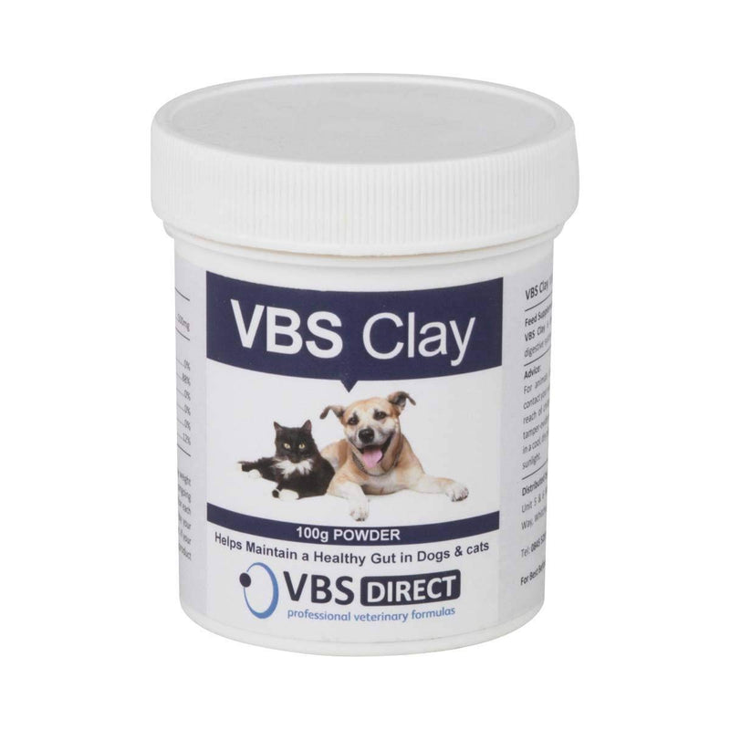 VBS Clay Powder 100g