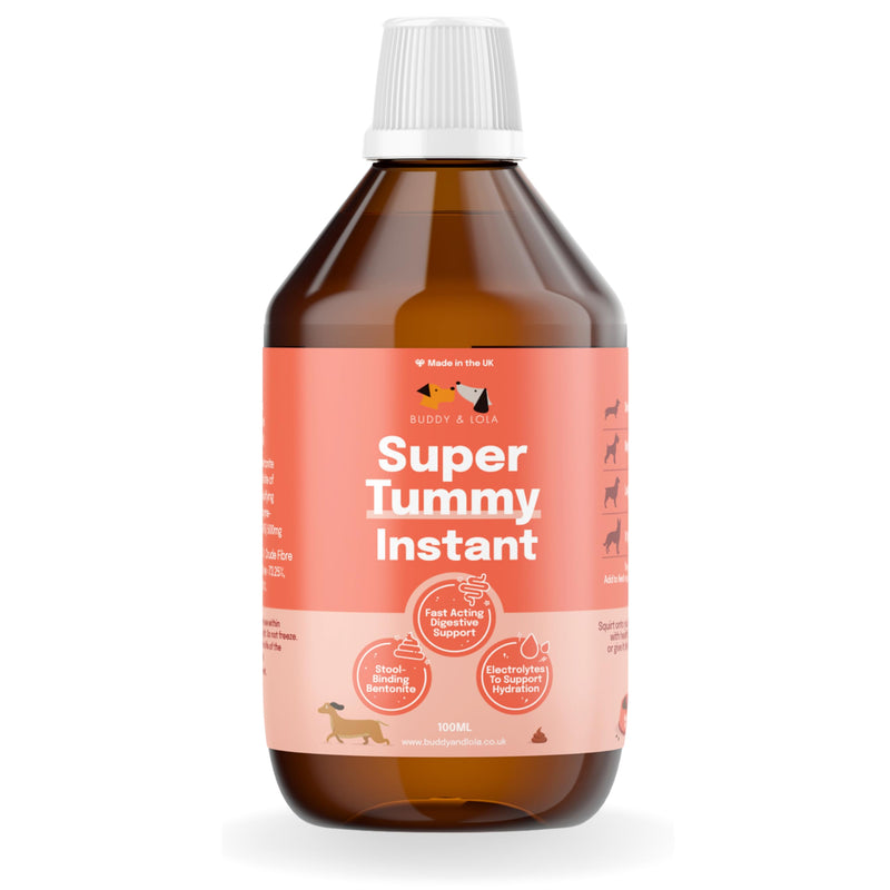 Buddy & Lola Fast-Acting Dog Diarrhea Treatment with Electrolytes - 20 Servings/100ml - Tummy Settler For Dogs All Breeds, Sizes and Ages - Syringe Included 100 ml (Pack of 1)
