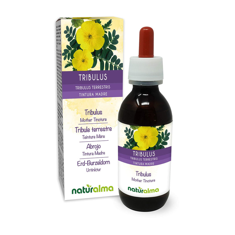Tribulus (Tribulus terrestris) Fruits Alcohol-Free Mother Tincture Naturalma | Liquid Extract Drops 120 ml | Food Supplement | Vegan 120 ml (Pack of 1) - BeesActive Australia