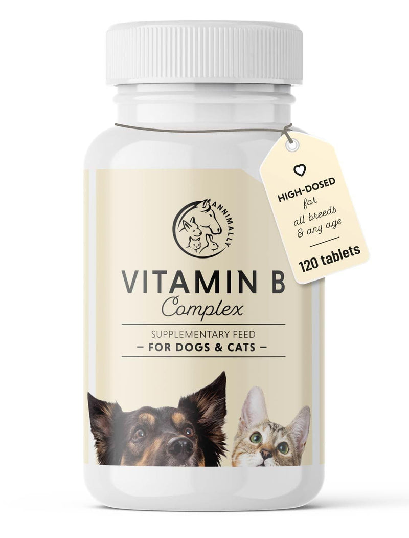 Annimally Vitamin B Complex for Dogs & Cats Tablets 120 pcs. - Daily Supplement with Folic Acid, Vitamin K, L-Tryptophan & Brewer’s Yeast, Made in Germany
