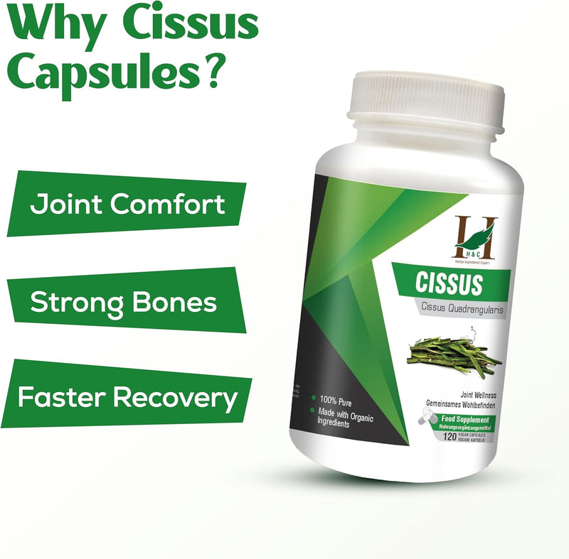 H&C Cissus/Hadjod Tablets (Cissus quadrangularis) - 350 mg, 90 Counts | Herbal Supplement for Bone Health 350mg Tablets - BeesActive Australia