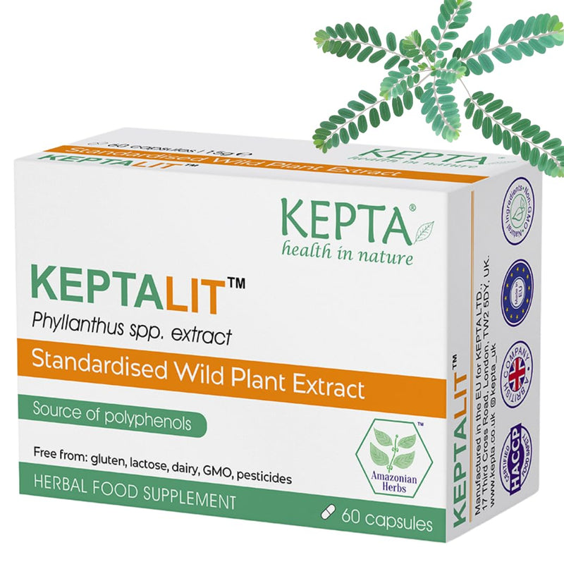 KEPTALIT Natural Liver and Kidney Support Stone Breaker Extract Kidney Cleanse Herbal Supplement Source of Polyphenols - 1 Pack of 60 Capsules - BeesActive Australia