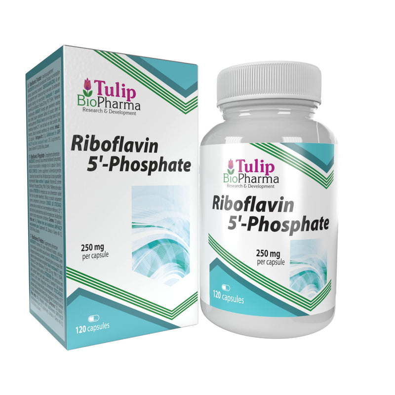 Tulip BioPharma Vitamin B2 (Riboflavin 5'-Phosphate) 250mg 120 Capsules, 3rd Party Lab Tested, High Strength Supplement, Gluten and GMO Free - BeesActive Australia