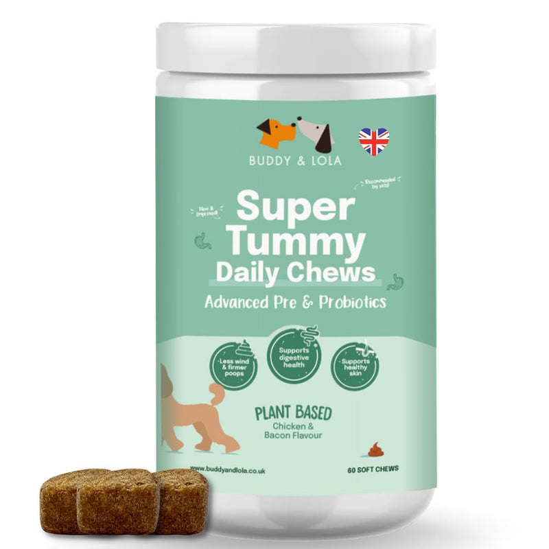 Buddy & Lola Probiotics For Dogs - Daily Dog Probiotic Chews For Digestive Health - Beneficial Prebiotics, Probiotics & Fibre For Better Gut, Firm Stools, Less itching - Plant Based Chews For Dogs 60 Soft Chews (1 Tub)