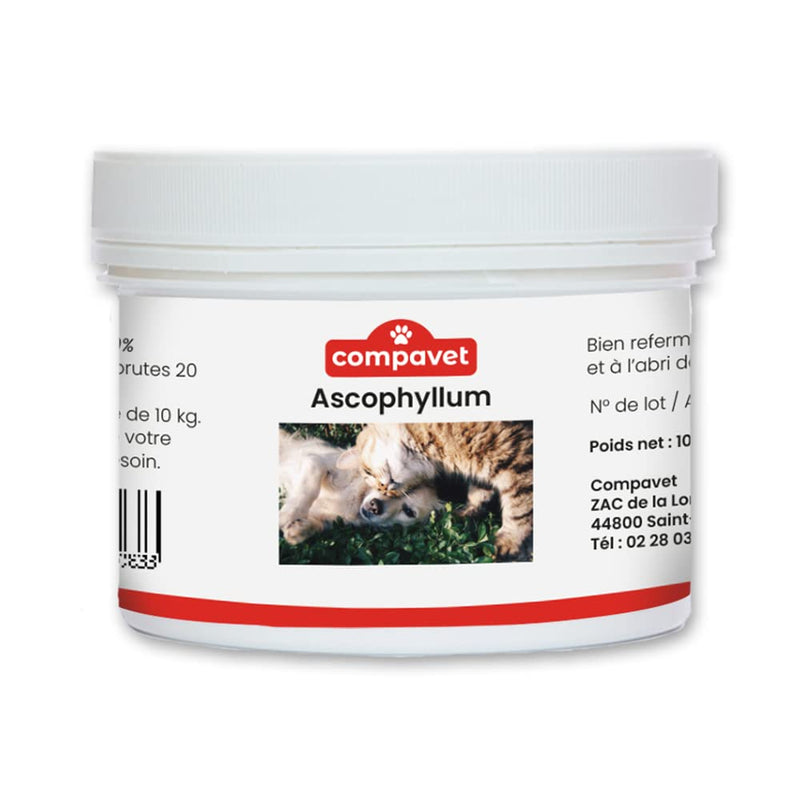 Ascophyllum nodosum Powder for Dogs and Cats - Oral Hygiene - Reduces Dental Plaque and Tartar, Prevents Bad Breath - 100g Pot - Developed in France