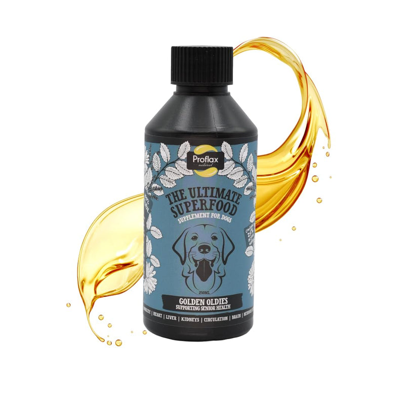 Proflax Golden Oldies Senior Support for Dogs – Mobility, Brain Function & Vitality for Ageing Dogs - 250ml