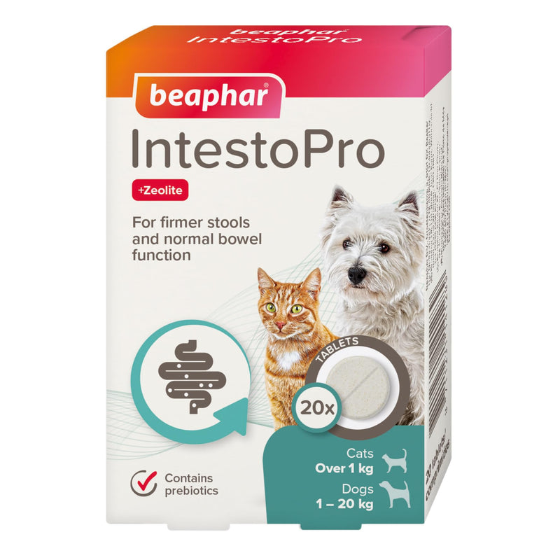 Beaphar – IntestoPro Prebiotic Stool Firming Tablets for Cats and Small Dogs (<20kg) – Natural Active Ingredients – Aids digestive upsets and diarrhoea - Supports Healthy Gut Function – 20 Tablets 20 Tabs Small Dog Tablets