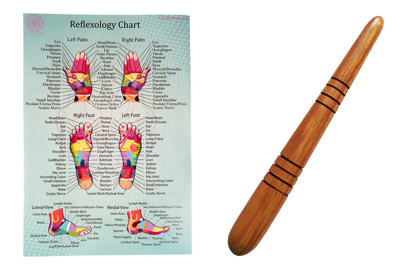 Massage toolsets with Chart for Professionals Foot Hand Massage Wooden Stick Reflexology (Single Stick + Chart) Set a - BeesActive Australia