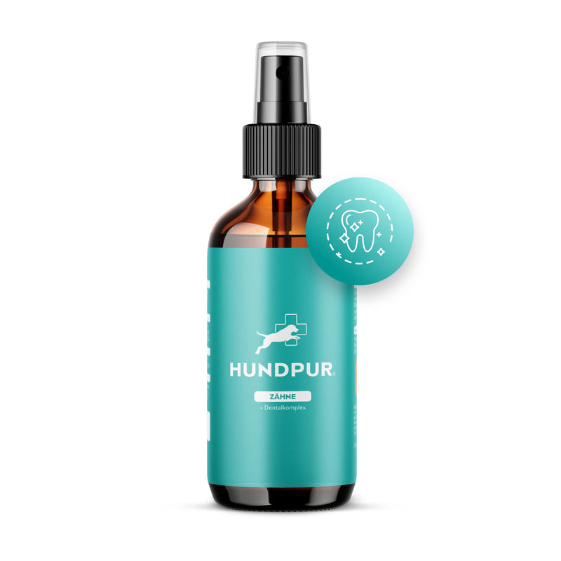 Dental Complex Teeth - Dental and Mouth Spray for Pleasant Fresh Breath, Supports Teeth and Gums, with Natural Ingredients such as Mint, Eucalyptus and Sage, 100 m