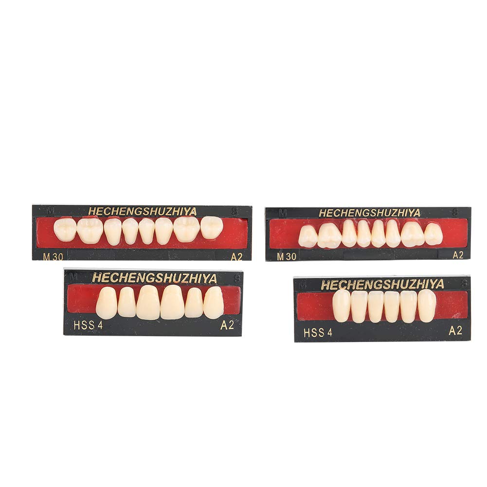 Dental Material Synthetic Resin False Teeth Filling Denture Tooth Care Tool Temporary Repair White Teeth Cosmetic Dentures for Upper Jaw - BeesActive Australia