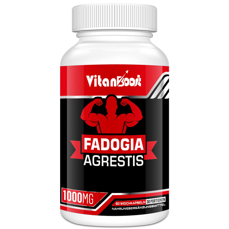 Vitanboost Fadogia Agrestis 1000mg with Ashwagandha & ZINC- Maximum Strength Fadogia Agrestis Extract Supplements - Drive, Athletic Performance & Muscle Mass - Gluten Free, Non-GMO, 60 Softgels 60Count (Pack of 1) - BeesActive Australia