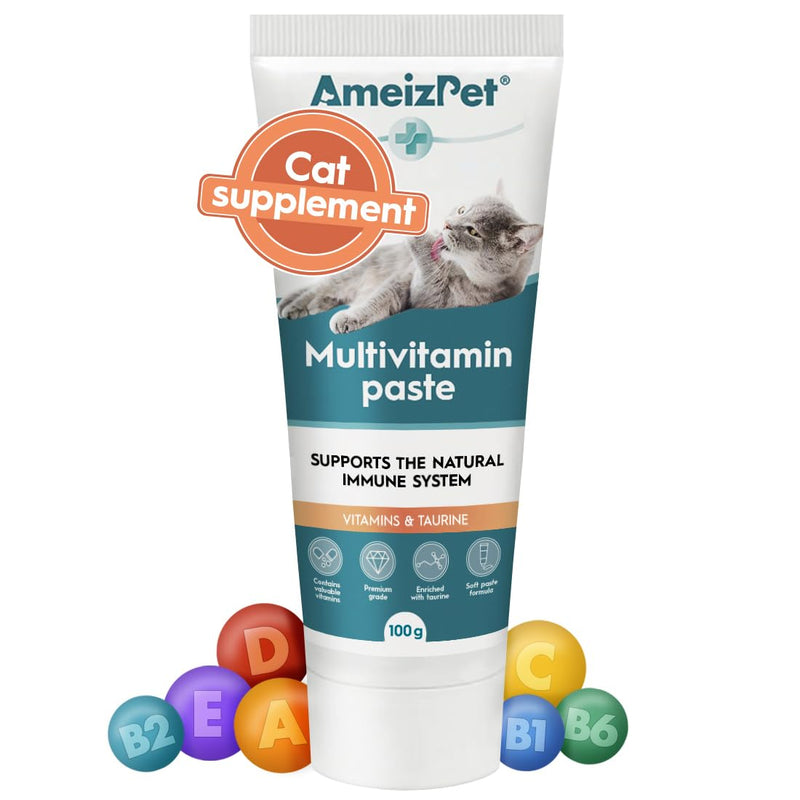 AmeizPet Cat Vitamins Paste, Healthy Snack for Pet Fur and Health, Cat Multivitamins, Lickable and Tasty Kitten Multivitamin Paste, 100 g (3.5 Oz)