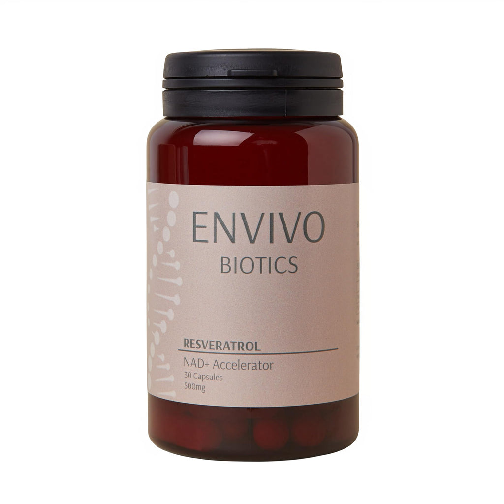 Envivo Biotics Resveratrol 500mg Capsules x 30 - Made and Tested in The UK >99% Purity Supplement for Healthy Aging - Vegan-Friendly - BeesActive Australia