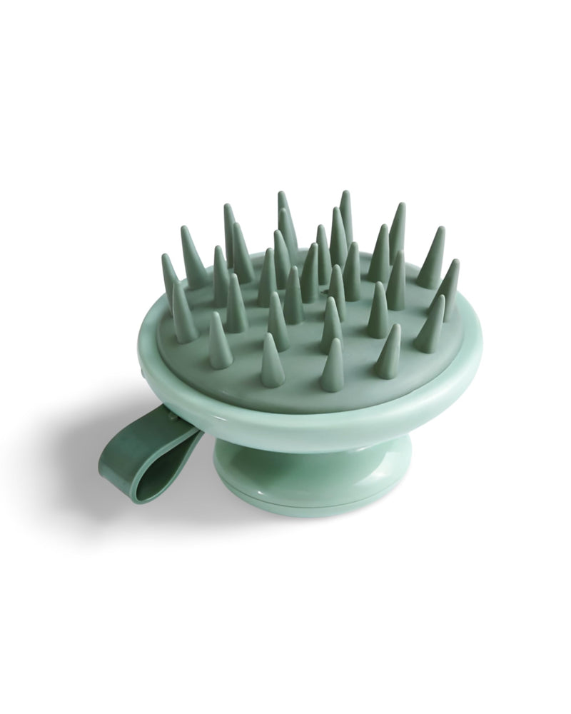 ReviveScalp Detangling Hair & Scalp Brush Massager - Deep Cleansing & Exfoliating for Ultimate Hair Care Experience - Perfect Scalp Brush for Hair Brush, Massage and Cleanse! (Green) Green - BeesActive Australia