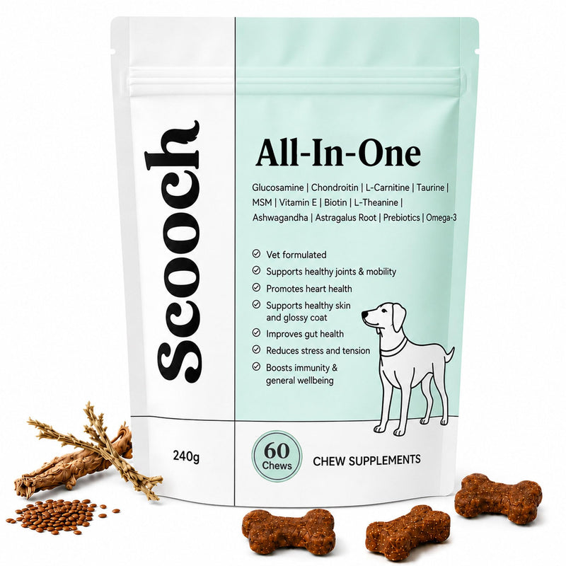 Scooch All-In-One Dog Multivitamin, 60 Tasty Crunchy Chews Even Fussy Dogs Eat | Daily Supplement Supporting Skin, Coat & Joints | Plant-Based Peanut Butter & Coconut | For Dogs from 12 Weeks Adult