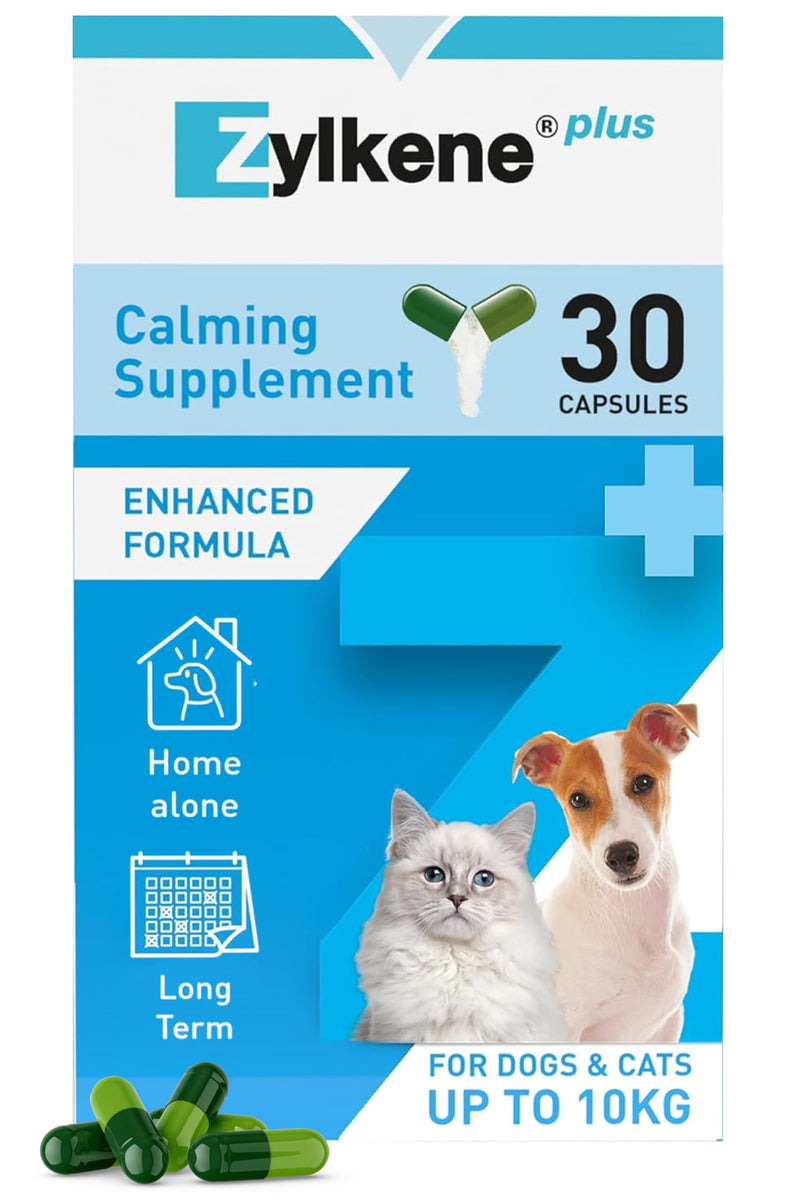 Zylkene Plus Calming Supplement for Cats & Dogs up to 10kg | Promotes Relaxation in long-term challenging situations: New baby, Home Alone, Moving house | Easily administered | 30 capsules Cats & Small Dogs