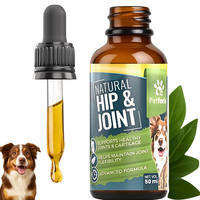 Dogs & Cats Joint and Hip Support Supplement 50ml – Fast Acting Natural Mobility Formula with Glucosamine Vitamin C and Herbal Extracts for Comfort Flexibility and Joint Care Pack of 1
