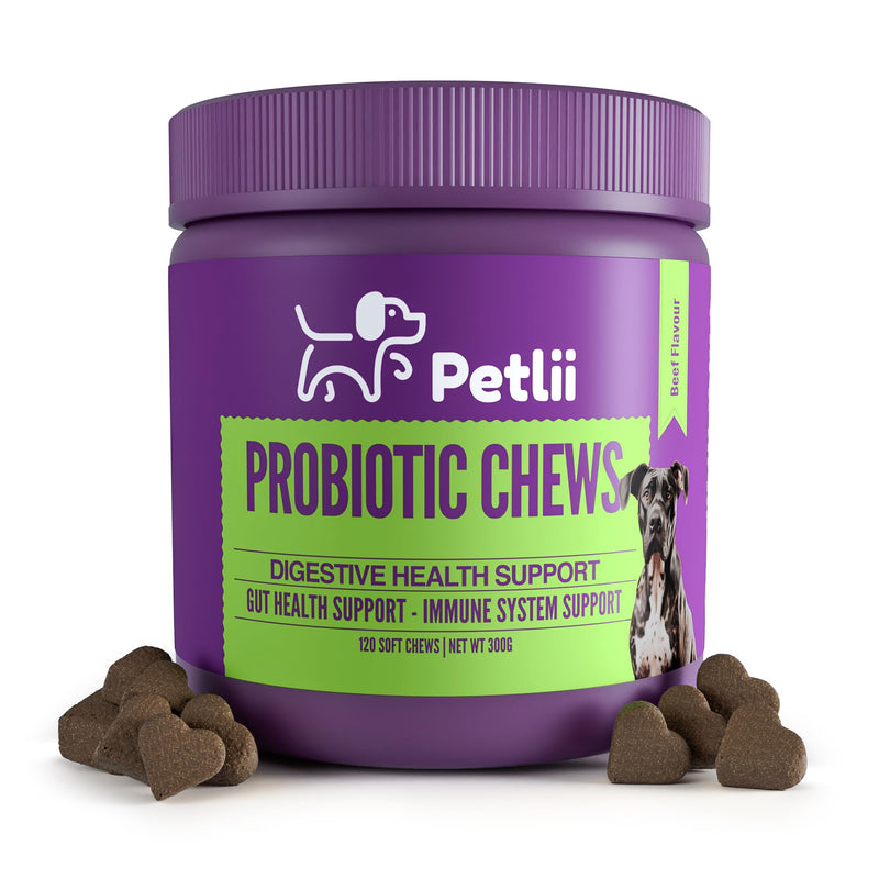 PROBIOTIC CHEWS - dog probiotics for gut health - digestive enzymes for dogs - Improve digestion, reduce diarrhea, itching and discomfort and eliminate foul odours. 120 Chews per tub
