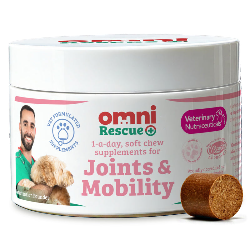 Omni Joint Supplements for Dogs - Dragons’ Den Winners, One-a-Day Joint & Mobility Chews with Glucosamine, Chondroitin & Omega 3, 30 Servings, Medium 15-30kg, Packaging May Vary Medium Dog (15-30kg) Pack of 1