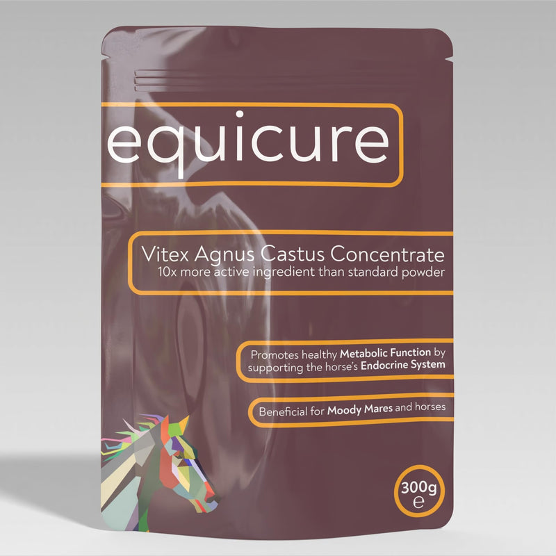 Vitex Agnus Castus 10x Concentrate - For Horse/Pony (300g Refill) 300g Refill